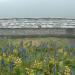052 - Hut and flowers at 4500m